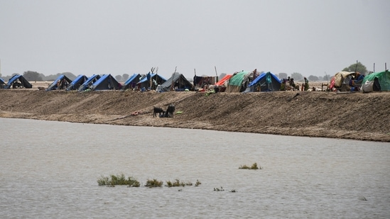 Las tiendas de campaña de las víctimas de las inundaciones se ven después de refugiarse en las orillas tras las lluvias monzónicas y las inundaciones. (REUTERS)