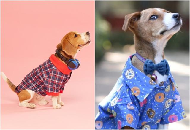 (L) Zigly’s range of shirts for dogs. (R) Bowtie and shirt combinations for dogs from Mutt of Course. (L) Zigly’s range of shirts for dogs. (R) Bowtie and shirt combinations for dogs from Mutt of Course.