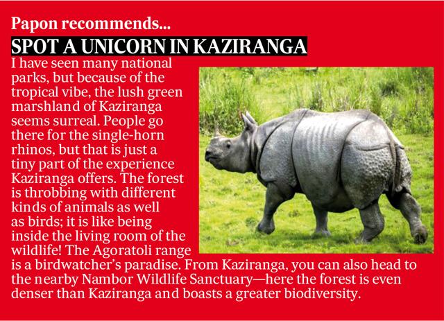 The wildlife in Kaziranga The wildlife in Kaziranga