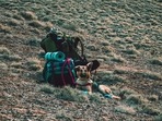 Travel options that pet lovers can consider for pet relocations (Arrinna) Travel options that pet lovers can consider for pet relocations (Arrinna)