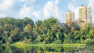 ‘Provide security around Lokhandwala Lake to prevent immersion’ ‘Provide security around Lokhandwala Lake to prevent immersion’