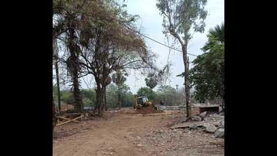 Environmentalists, however, said that they will oppose the government’s stand in court. (Hindustan Times) Environmentalists, however, said that they will oppose the government’s stand in court. (Hindustan Times)