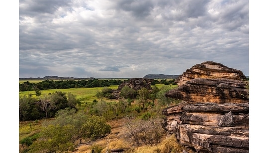 Kakadu National Park, about half an hour’s drive away is where stony plateaus meet waterfalls and red cliffs. Several aboriginal clans still call the park home, making it a living cultural landscape.(Picture courtesy: Sonia Nazareth)