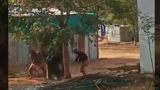 Screengrab taken from viral video: Temple elephant Jeymalyatha was repeatedly tortured by her mahouts in Tamil Nadu.&nbsp;(Twitter)