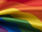 Over the years, the strides made in securing the rights of the queer communities have been largely done through courts.&nbsp;