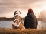 Globally, pet population has reached 1 billion and studies show that over 50% of pets will experience at least one health issue during their lifetime. Globally, pet population has reached 1 billion and studies show that over 50% of pets will experience at least one health issue during their lifetime.