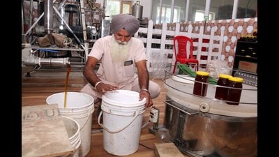 Punjab’s maiden honey processing unit brings sweet rewards (HT Photo) Punjab’s maiden honey processing unit brings sweet rewards (HT Photo)