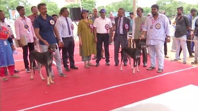 Each breed's top dog was honored with a certificate and memento. Pictured alongside the judges and contestants is vice chancellor KN Selvakumar (third from right). (ANI) Each breed's top dog was honored with a certificate and memento. Pictured alongside the judges and contestants is vice chancellor KN Selvakumar (third from right). (ANI)