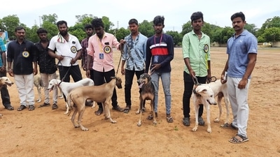 Owners of the show's animal participants. The dog show recorded more than 200 registrations and each dog guardian was given a certificate of participation. (Source: Students from Veterinary College and Research Institute, Theni) Owners of the show's animal participants. The dog show recorded more than 200 registrations and each dog guardian was given a certificate of participation. (Source: Students from Veterinary College and Research Institute, Theni)