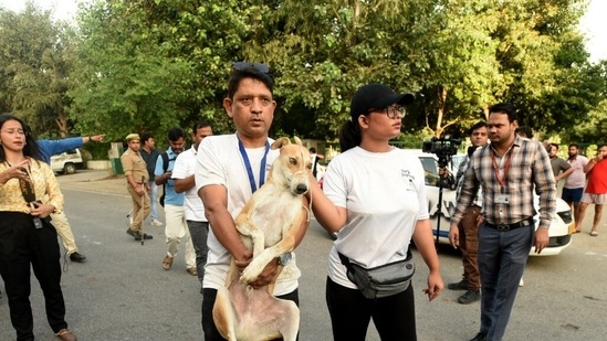 Stray animals being evacuated by volunteers near Supertech twin towers.&nbsp;