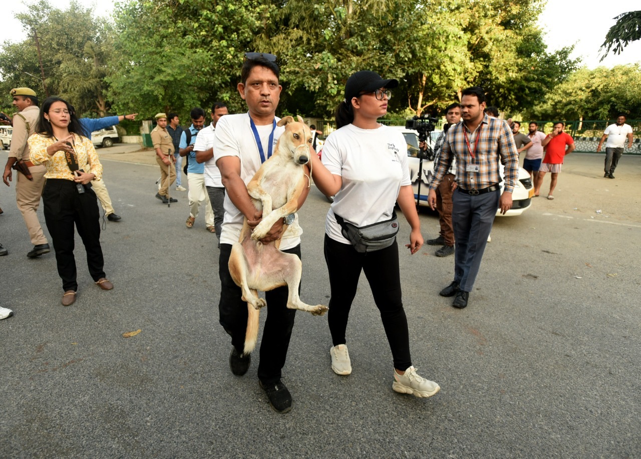 Stray animals being evacuated by volunteers near Supertech twin towers Stray animals being evacuated by volunteers near Supertech twin towers