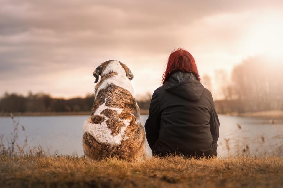 Globally, pet population has reached 1 billion and studies show that over 50% of pets will experience at least one health issue during their lifetime. (Pixabay) Globally, pet population has reached 1 billion and studies show that over 50% of pets will experience at least one health issue during their lifetime. (Pixabay)