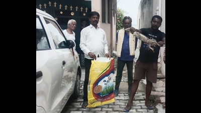 A local showing a monitor lizard caught by him from a home in Shivkuti locality of Prayagraj (HT Photo) A local showing a monitor lizard caught by him from a home in Shivkuti locality of Prayagraj (HT Photo)