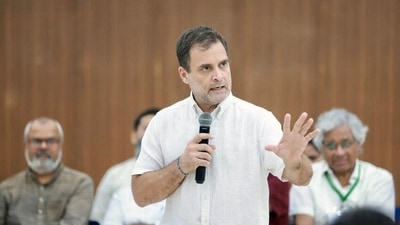 Congress MP Rahul Gandhi. (ANI) Congress MP Rahul Gandhi. (ANI)