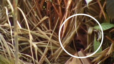 The Man of the Hole looks out from his hut – a still from the film Corumbiara, by the film-maker Vincent Carelli. The Man of the Hole looks out from his hut – a still from the film Corumbiara, by the film-maker Vincent Carelli.
