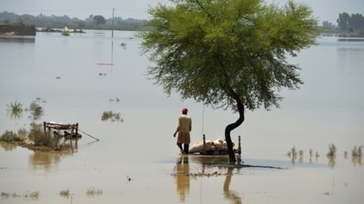 “This year Pakistan has received the highest rainfall in at least three decades. So far this year the rain is running at more than 780% above average levels,” said Abid Qaiyum Suleri, executive director of the Sustainable Development Policy Institute and a member of Pakistan's Climate Change Council. (AP) “This year Pakistan has received the highest rainfall in at least three decades. So far this year the rain is running at more than 780% above average levels,” said Abid Qaiyum Suleri, executive director of the Sustainable Development Policy Institute and a member of Pakistan's Climate Change Council. (AP)