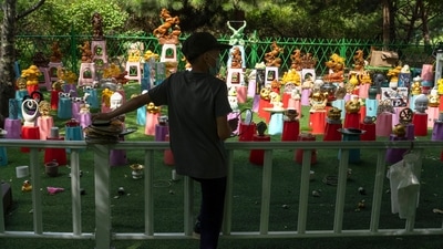 According to a Fudan University survey of around 4,500 young people this year, some 70% expressed varying degrees of anxiety. (AP) According to a Fudan University survey of around 4,500 young people this year, some 70% expressed varying degrees of anxiety. (AP)