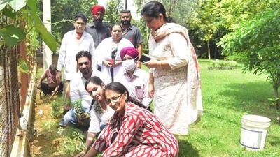 Civil hospital officials during the tree plantation drive in Ludhiana. (HT PHOTO)