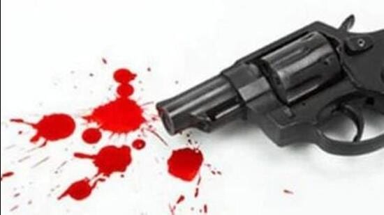 Ravinder Singh was on trial after he shot and killed Maggie Brooks, 30, while responding to a welfare check. (HT File)