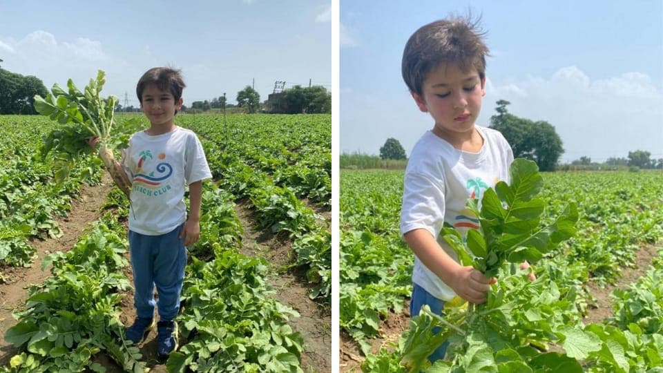 Kareena Kapoor shared new pics of Taimur Ali Khan from a farm. Kareena Kapoor shared new pics of Taimur Ali Khan from a farm.