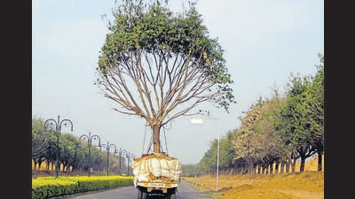 Transplantation, as per the policy, should be carried out only through empaneled agencies identified by the government. (HT File Photo) Transplantation, as per the policy, should be carried out only through empaneled agencies identified by the government. (HT File Photo)