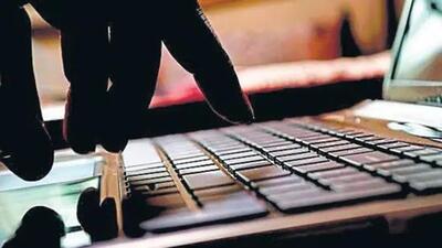 The motives of cybercrime cases have been identified as fraud, extortion, anger, personal revenge and sexual exploitation. (Representative Image) The motives of cybercrime cases have been identified as fraud, extortion, anger, personal revenge and sexual exploitation. (Representative Image)