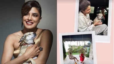 Priyanka Chopra wished Diana on her birthday. Priyanka Chopra wished Diana on her birthday.