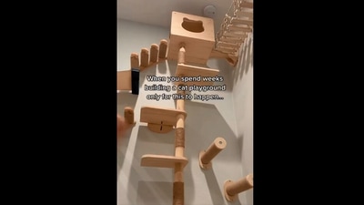 The image, taken from the Instagram video, shows the cat’s indoor playground by its human. (Instagram/@ dontstopmeowing)