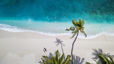Gorgeous white sand beaches in India you must visit (Unsplash) Gorgeous white sand beaches in India you must visit (Unsplash)