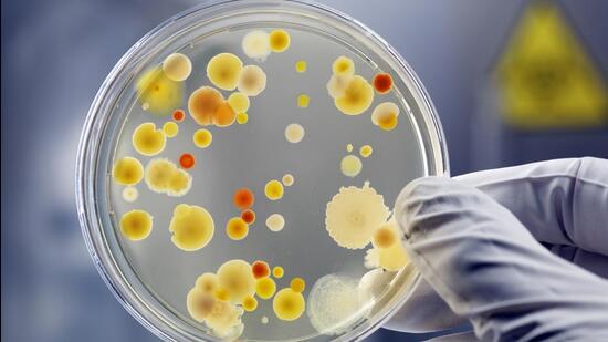 Lt Gen JS Nain, GOC-in-C, Southern Command, inaugurated a 120-bed malignant disease treatment centre at Command Hospital on Tuesday. (Getty Images/Vetta (PIC FOR REPRESENTATION))