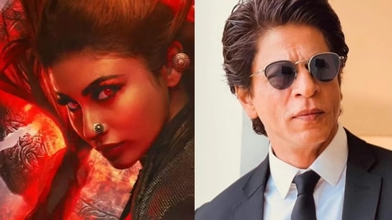 Mouni Roy said Shah Rukh Khan will be seen in cameo in Brahmastra.&nbsp;