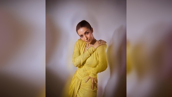 Malaika Arora took both her fashion and fitness game to a whole new level as she flaunted her flexibility striking those million-dollar poses in her designer couture for the camera.(Instagram/@malaikaaroraofficial)