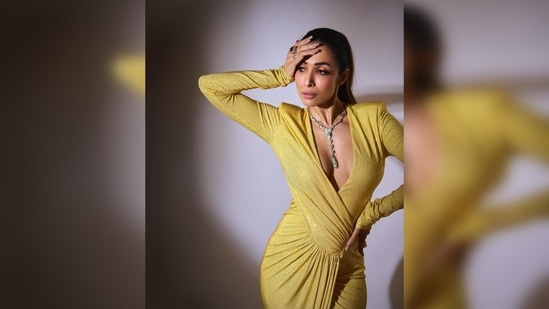 Malaika Arora's Mimosa Stretch Jersey is worth <span class='webrupee'>₹</span>3,66,000, as per Tutus Kurniati's official website.(Instagram/@malaikaaroraofficial)