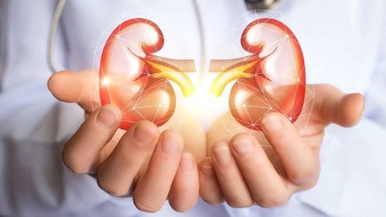 When kidneys fail and lose their ability to filter out waste, the impact starts showing in our body gradually(Shutterstock)