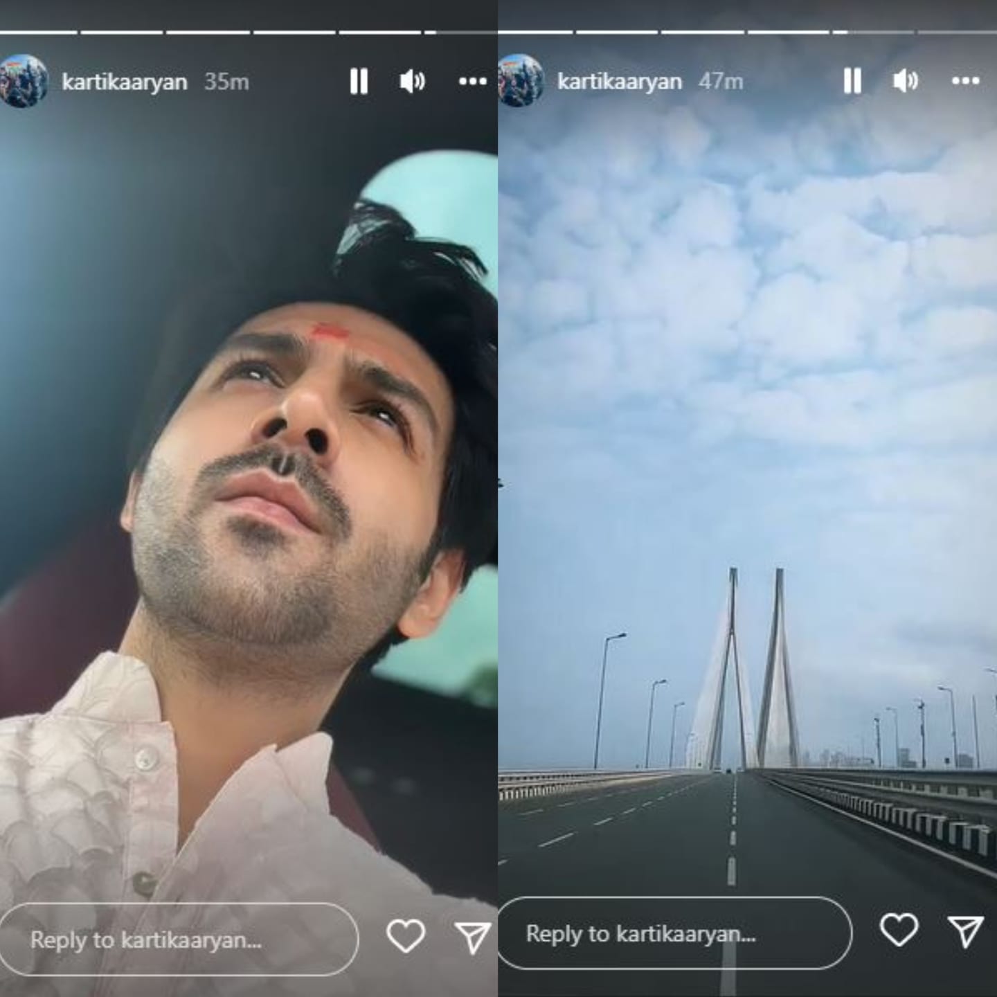 Kartik Aaryan also shared posts on his Instagram Stories.