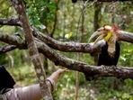 Nature conservation is concerned with the protection of nature and its resources that are vital for the survival of the planet and all its inhabitants. But India has a poor record on that front. The country barely achieved 2.8% of its plantation target under the government’s 10-year afforestation scheme, the Green India Mission (GIM), according to the Economic Survey 2020-21. Nature conservation is concerned with the protection of nature and its resources that are vital for the survival of the planet and all its inhabitants. But India has a poor record on that front. The country barely achieved 2.8% of its plantation target under the government’s 10-year afforestation scheme, the Green India Mission (GIM), according to the Economic Survey 2020-21.