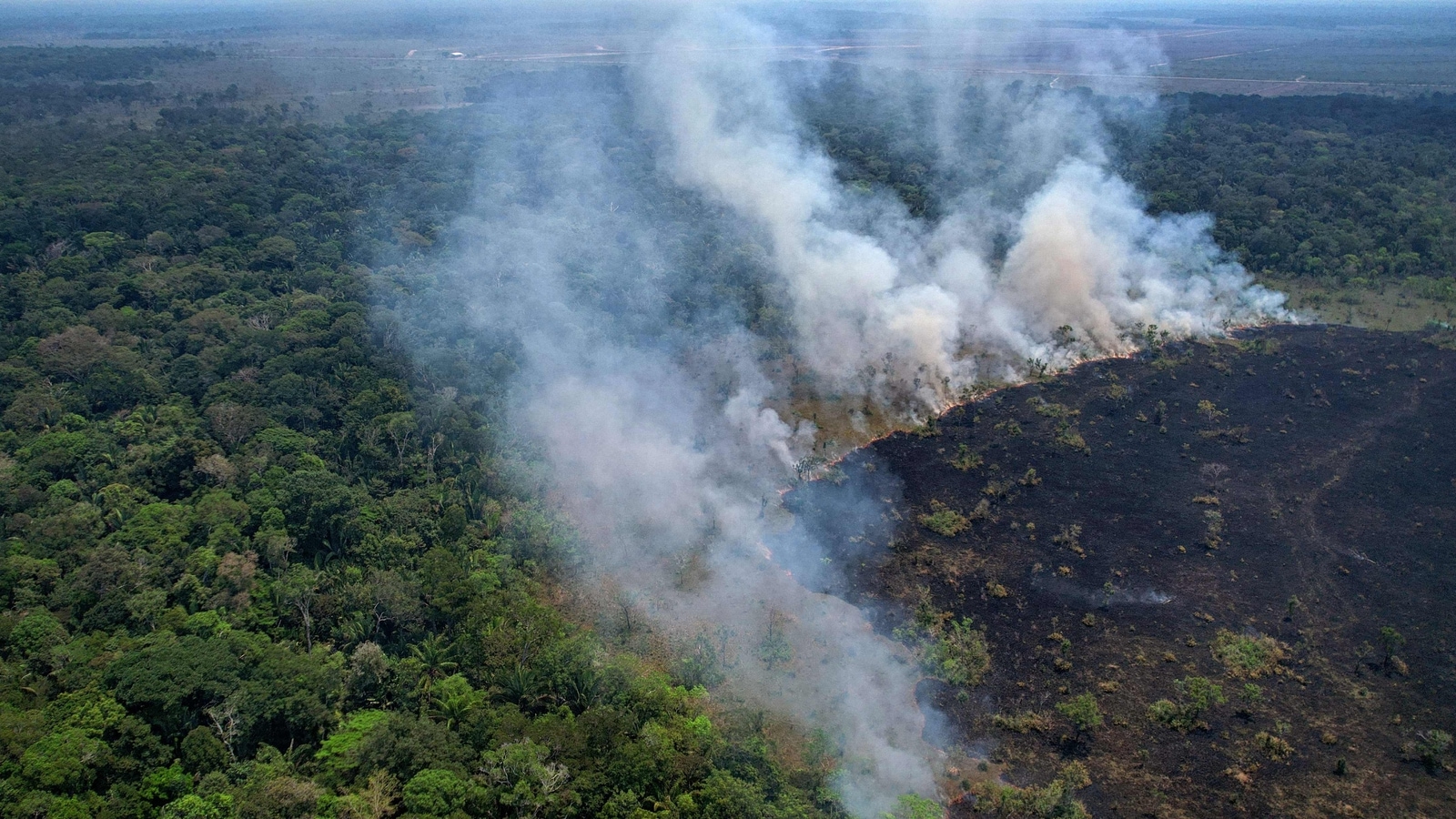 Worst-ever February rainforest data for Brazilian