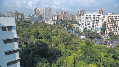 Mumbai, India - September 01, 2022: A view of the the area where the bridge will come up in future at New Yari Road, Lokhandwala, in Mumbai, India, on Thursday, September 01, 2022. (Photo by Satish Bate/ Hindustan Times) (Satish Bate/HT PHOTO) Mumbai, India - September 01, 2022: A view of the the area where the bridge will come up in future at New Yari Road, Lokhandwala, in Mumbai, India, on Thursday, September 01, 2022. (Photo by Satish Bate/ Hindustan Times) (Satish Bate/HT PHOTO)