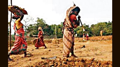 The MGNREGS currently guarantees 100 days of wage employment to each person in a year. The MGNREGS currently guarantees 100 days of wage employment to each person in a year.