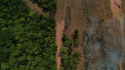Experts say Amazon fires are caused mainly by illegal farmers, ranchers and speculators clearing land and torching the trees. President Bolsonaro is suffering heat over letting deforestation hit a 15-year high in the region. (AFP) Experts say Amazon fires are caused mainly by illegal farmers, ranchers and speculators clearing land and torching the trees. President Bolsonaro is suffering heat over letting deforestation hit a 15-year high in the region. (AFP)