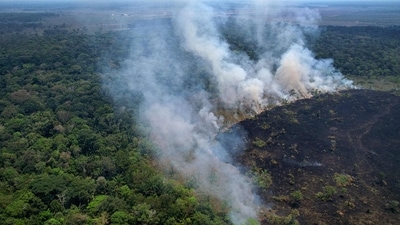 Aerial view of a burnt area in the Amazon rainforest, near the Lago do Cunia Extractive Reserve, on the border of the states of Rondonia and Amazonas, northern Brazil, on Wednesday. (AFP) Aerial view of a burnt area in the Amazon rainforest, near the Lago do Cunia Extractive Reserve, on the border of the states of Rondonia and Amazonas, northern Brazil, on Wednesday. (AFP)