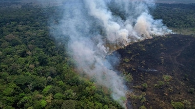 Aerial view of a burnt area in the Amazon rainforest, near the Lago do Cunia Extractive Reserve, on the border of the states of Rondonia and Amazonas, northern Brazil, on Wednesday. (AFP) Aerial view of a burnt area in the Amazon rainforest, near the Lago do Cunia Extractive Reserve, on the border of the states of Rondonia and Amazonas, northern Brazil, on Wednesday. (AFP)