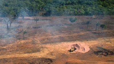 As Presidential elections are due in October, the frontrunner, leftist former President Luiz Inacio Lula da Silva, has vowed tougher protection of the Amazon. (AFP) As Presidential elections are due in October, the frontrunner, leftist former President Luiz Inacio Lula da Silva, has vowed tougher protection of the Amazon. (AFP)