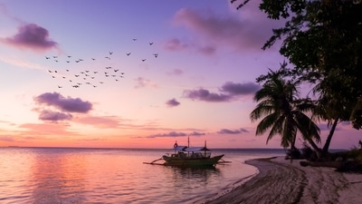 Why go abroad for a holiday when India itself has some enchanting places with breathtaking scenery to offer to its people? If you are thinking you have seen all the beautiful spots then you are wrong since there are several hidden gems across the country that very few people are aware of. Here are a few lesser-known islands in India that you should visit if you haven't already. (Representative Image (Unsplash)) Why go abroad for a holiday when India itself has some enchanting places with breathtaking scenery to offer to its people? If you are thinking you have seen all the beautiful spots then you are wrong since there are several hidden gems across the country that very few people are aware of. Here are a few lesser-known islands in India that you should visit if you haven't already. (Representative Image (Unsplash))