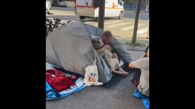 The image, taken from viral Instagram video, shows the dog hugging the man who lives on the streets. (Instagram/@goodnews_movement) The image, taken from viral Instagram video, shows the dog hugging the man who lives on the streets. (Instagram/@goodnews_movement)