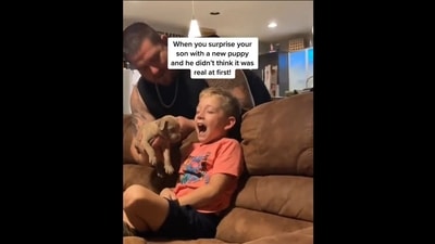 The image, taken from the video shared on Twitter, shows the father surprising his son with the puppy. (Twitter/@GoodNewsCorrespondent) The image, taken from the video shared on Twitter, shows the father surprising his son with the puppy. (Twitter/@GoodNewsCorrespondent)