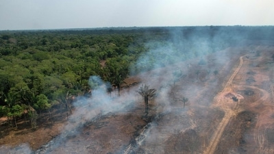 Aerial view of a burnt area in the Amazon rainforest, near Porto Velho, state of Rondonia, northern Brazil. This time is considered as the burning season in this region when ranchers and farmers often set fire to deforested areas. (AFP) Aerial view of a burnt area in the Amazon rainforest, near Porto Velho, state of Rondonia, northern Brazil. This time is considered as the burning season in this region when ranchers and farmers often set fire to deforested areas. (AFP)