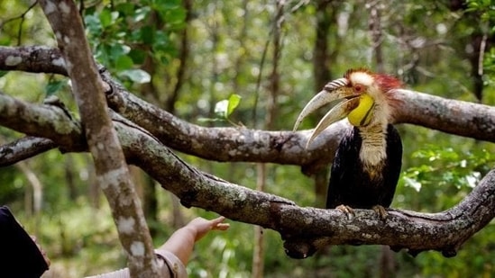 Nature conservation is concerned with the protection of nature and its resources that are vital for the survival of the planet and all its inhabitants. But India has a poor record on that front. The country barely achieved 2.8% of its plantation target under the government’s 10-year afforestation scheme, the Green India Mission (GIM), according to the Economic Survey 2020-21.