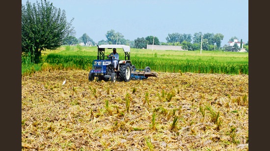 The agricultural GDP growth rate comes on the back of good winter-sown harvests and higher food prices.