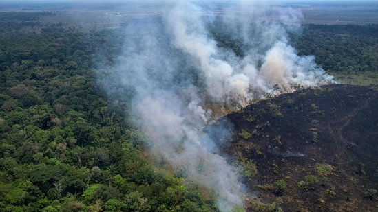 Aerial view of a burnt area in the Amazon rainforest, near the Lago do Cunia Extractive Reserve, on the border of the states of Rondonia and Amazonas, northern Brazil, on Wednesday. (AFP)